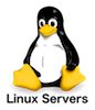 Linux Server Hosting