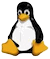 Linux Server Hosting